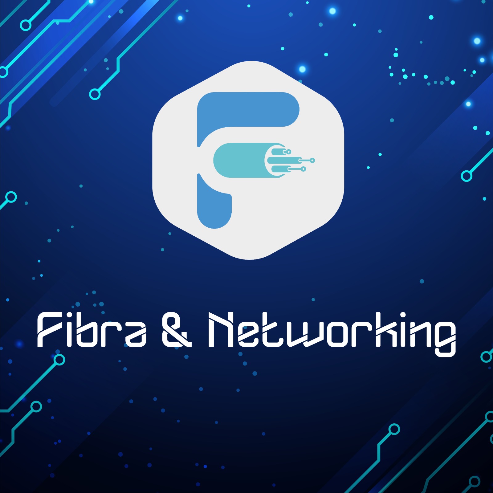 Fibra y Networking